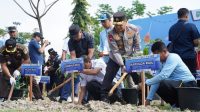 May Day 2025 Riau: Buruh Tanam Pohon, Aksi Hijau Inspiratif May Day 2025 Riau: Buruh Tanam Pohon, Aksi Hijau Inspiratif