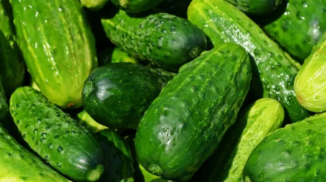 Mentimun Mentah: Kupas Kulitnya atau Tidak? Manfaat Kesehatan Terungkap