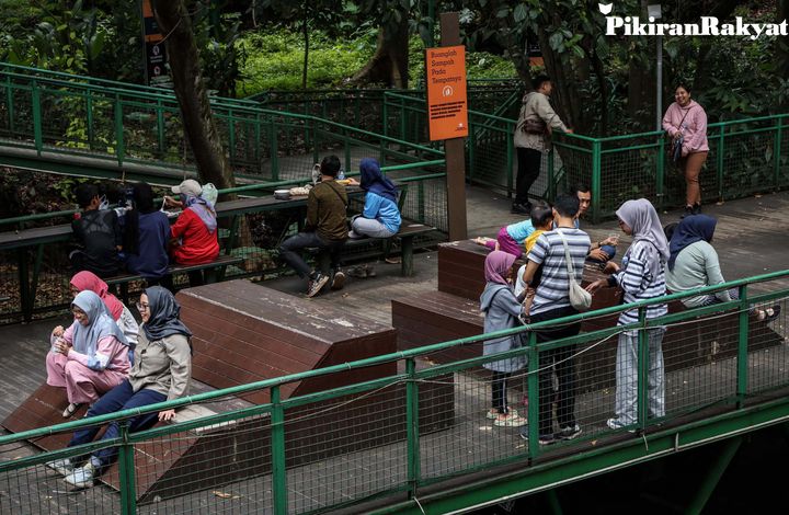 Misteri Babakan Siliwangi: Hutan Kota Bandung Tersembunyi Sejak 1920