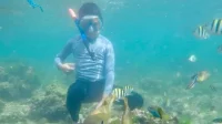 Pantai Sadranan Gunungkidul: Surga Snorkeling Tersembunyi, Jelajahi Sekarang!