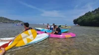 Pesona Pantai Drini Gunungkidul: Tiket Masuk 2025 & Kisah Tragis Pesona Pantai Drini Gunungkidul: Tiket Masuk 2025 & Kisah Tragis