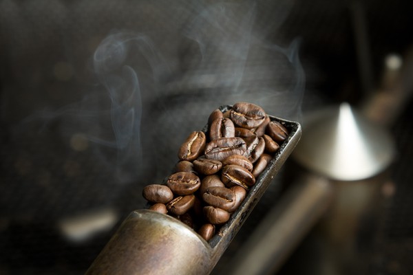Rahasia French Roast: Tingkat Panggang Kopi Terbaik?