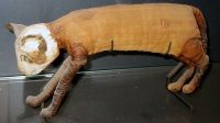Rahasia Kucing Modern: Asal-usulnya dari Ritual Mesir Kuno? Rahasia Kucing Modern: Asal-usulnya dari Ritual Mesir Kuno?