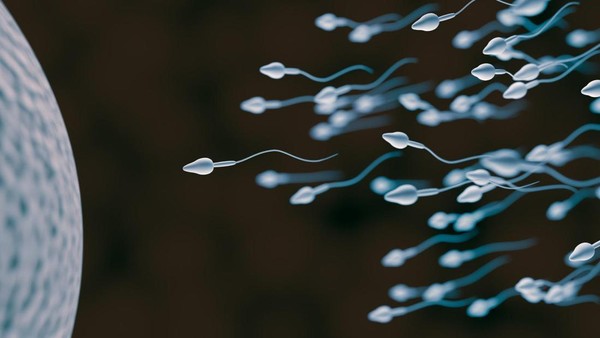 Rahasia Sperma Kuat: Lomba Unik AS Ungkap Cara Sehat
