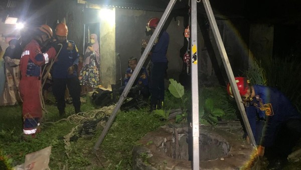 Sanca Raksasa 3 Meter: Petugas Evakuasi Ular di Sumur Bogor