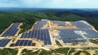 Boom Industri Surya! CTIS Ungkap Peluang Rantai Pasok Modul Indonesia