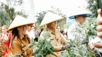Sukses Panen Raya Katrili 2025: PGE, UGM, Petani Tonsewer