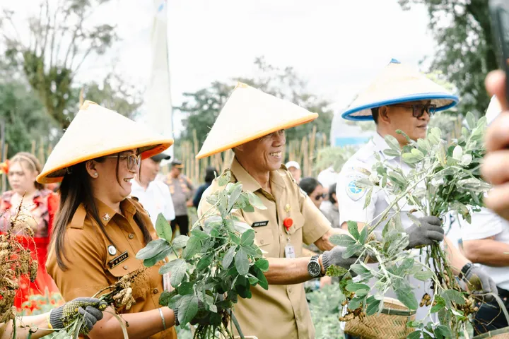 Sukses Panen Raya Katrili 2025: PGE, UGM, Petani Tonsewer